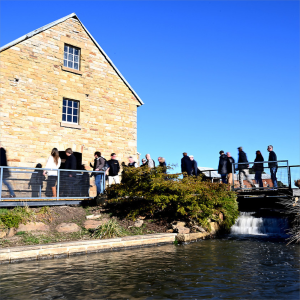 CM – Images– 1200x1200 – 4