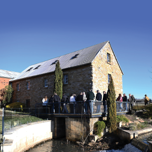 CM – Images– 1200x1200 – 9