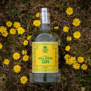 MILL POND CITRUS GIN 700ml